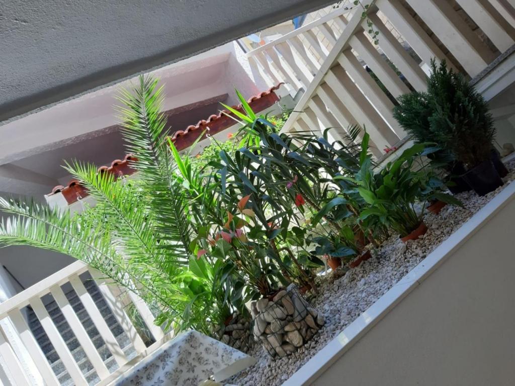 Apartments Duće Zewnętrze zdjęcie